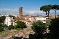 0520Foro Romano